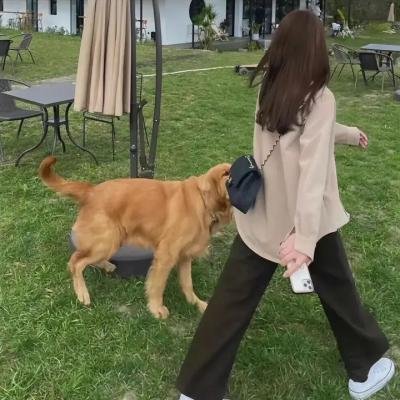 为了儿童的最大利益